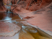 Red Reef Trail