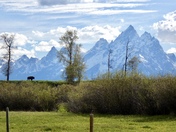 Grand Teton National Park