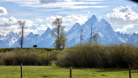 Grand Teton National Park