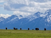 Grand Teton National Park