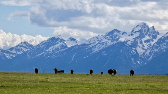Grand Teton National Park