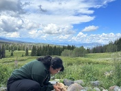 Bridger-Teton National Forest