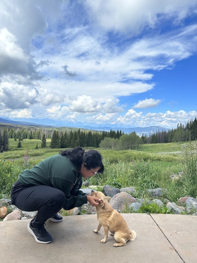 Bridger-Teton National Forest