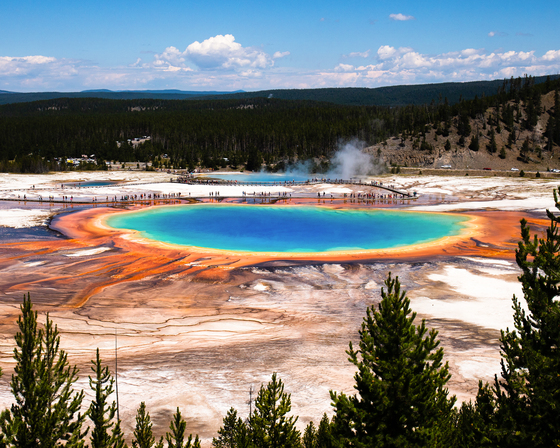 Grand Prismatic Spring
