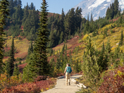 Mount Rainier National Park