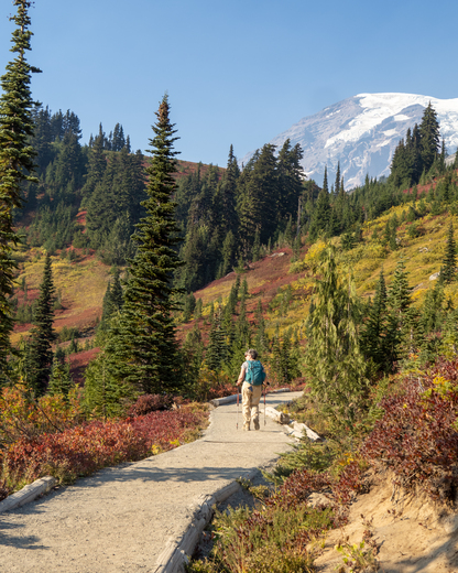 Mount Rainier National Park
