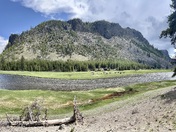 Madison Campground Yellowstone National Park 