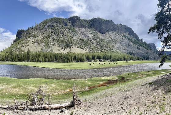 Madison Campground Yellowstone National Park 