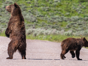 Grand Teton National Park