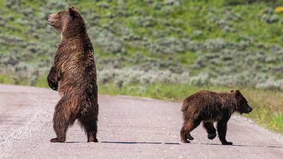 Grand Teton National Park