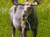 Grand Teton National Park