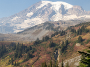 Mount Rainier National Park