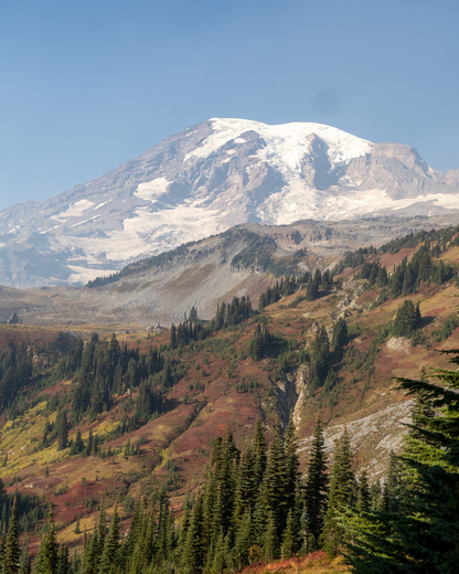Mount Rainier National Park