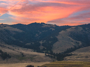 Yellowstone National Park