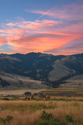 Yellowstone National Park
