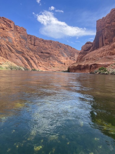 Horseshoe Bend - Colorado River