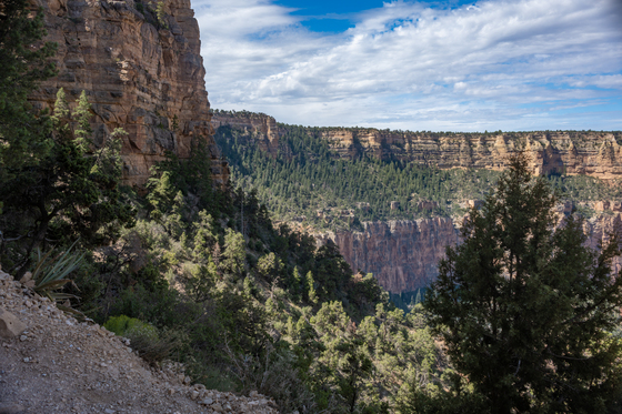 Grand Canyon National Park