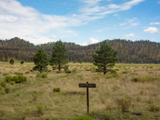 Coconino National Forest