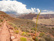 Grand Canyon National Park