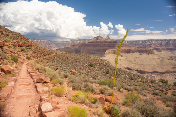 Grand Canyon National Park
