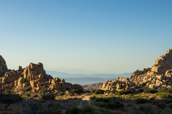 Valley Of The Moon