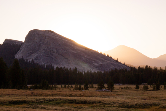 Yosemite National Park