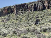 Massacre Rim Wilderness Study Area