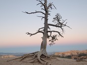 Bryce  Canyon National Park