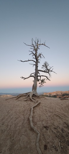 Bryce  Canyon National Park