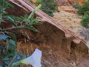 Zion National Park