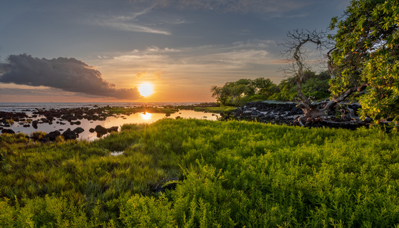 Kaloko-Honokohau National Historical Park