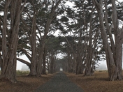 Point Reyes National Seashore 
