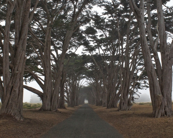 Point Reyes National Seashore 