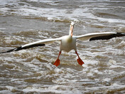 Landing Gear