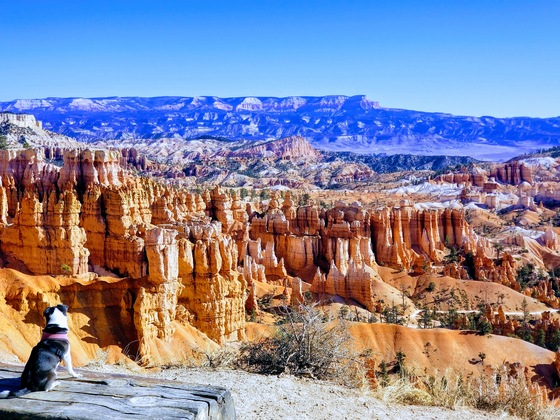 Bryce Canyon National Park