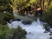 Yosemite National Park