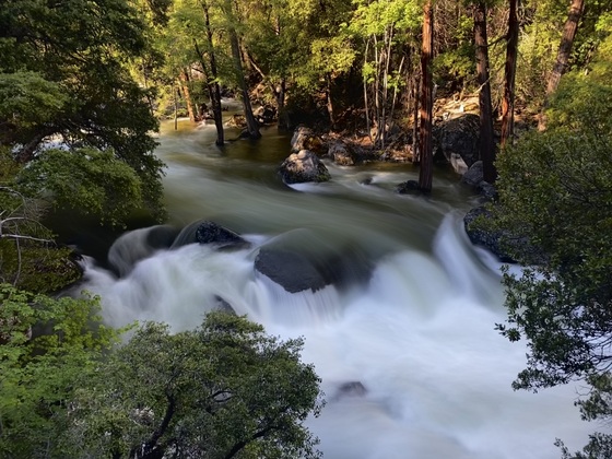 Yosemite National Park