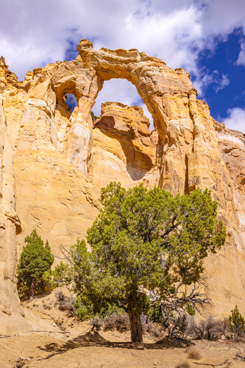 Grand Staircase- Escalante National Monument