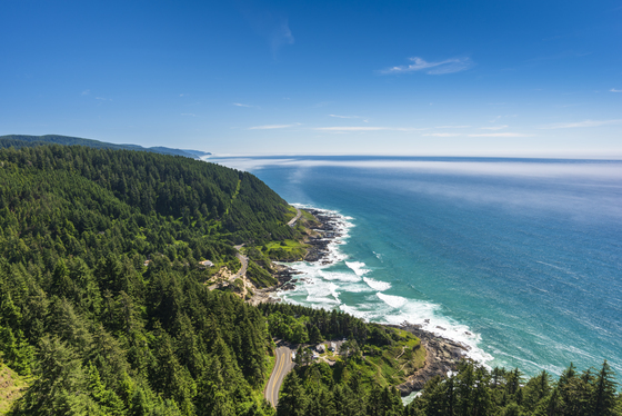Cape Perpetua Scenic Area