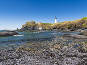 Yaquina Head Natural Area