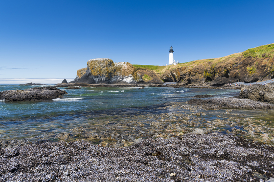 Yaquina Head Natural Area