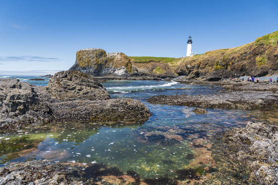 Yaquina Head Natural Area