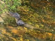 Everglades National Park