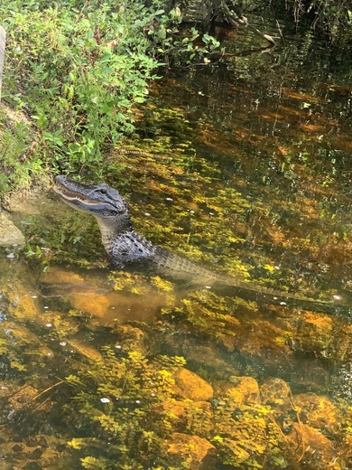Everglades National Park