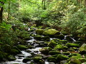 Great Smoky Mountains