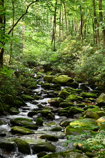 Great Smoky Mountains