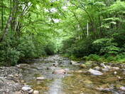 Great Smoky Mountains