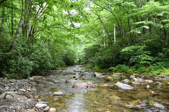 Great Smoky Mountains