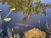 Everglades National Park