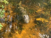 Everglades National Park